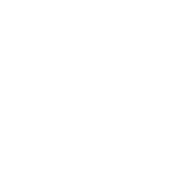 Caparison Guitars