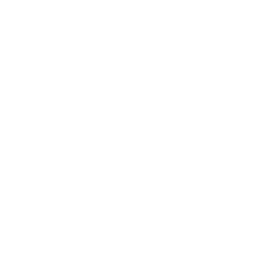 Sugi Guitars