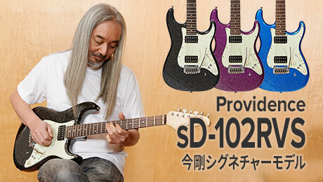 Providence Guitar aD-102RVSの在庫を確認