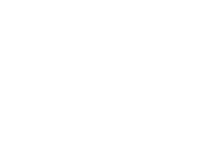 Ludwig