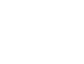 TAMA