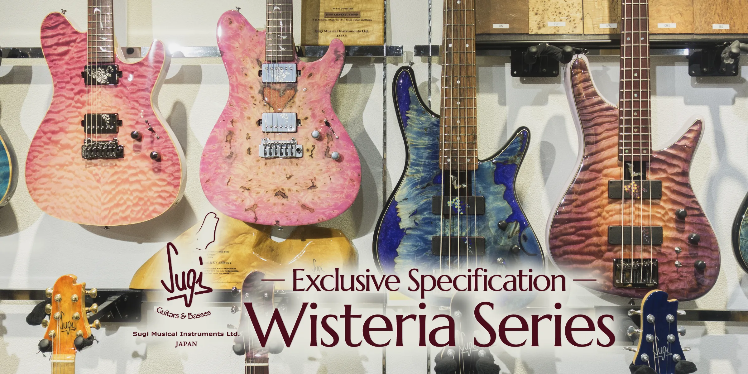 Sugi Guitars Exclusive Specification Wisteria Series