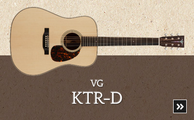 VG KTR-D