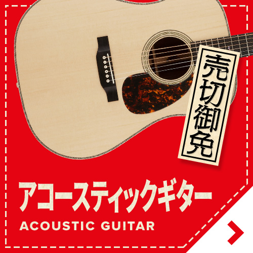 �A�R�[�X�e�B�b�N�M�^�[