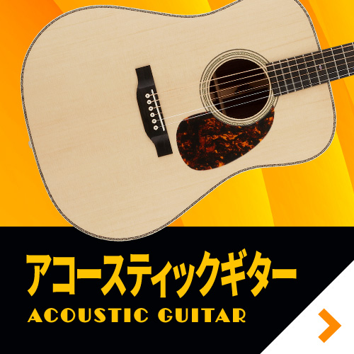 �A�R�[�X�e�B�b�N�M�^�[