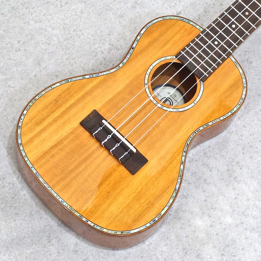 DCT Japan <br>DUC-300M