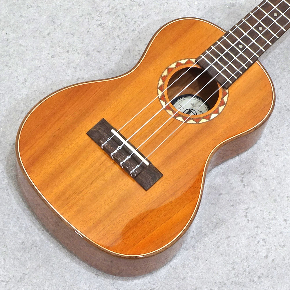 DCT Japan <br>DUC-600M