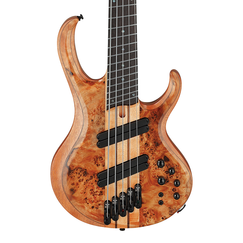 Ibanez <br>BTB Workshop BTB805MS-FNL (Florid Natural Low Gloss)