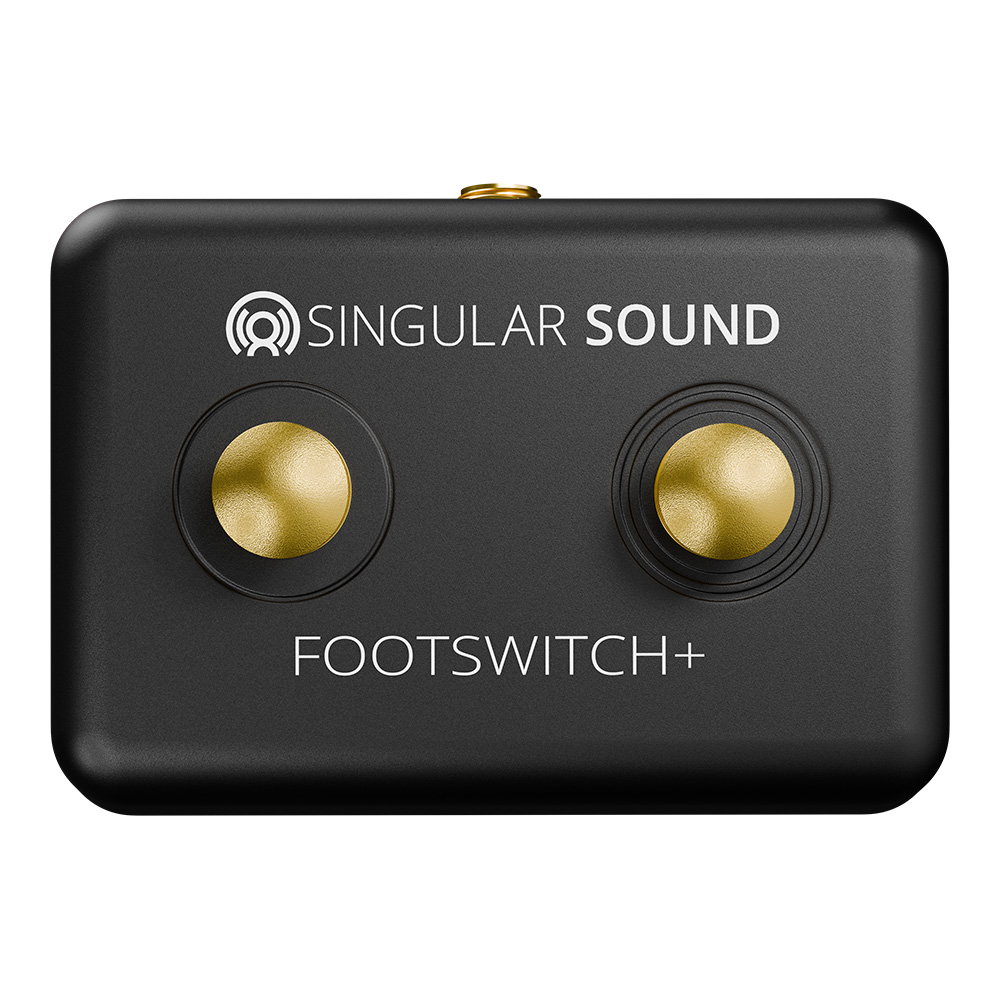 SINGULAR SOUND <br>Footswitch+ B&G