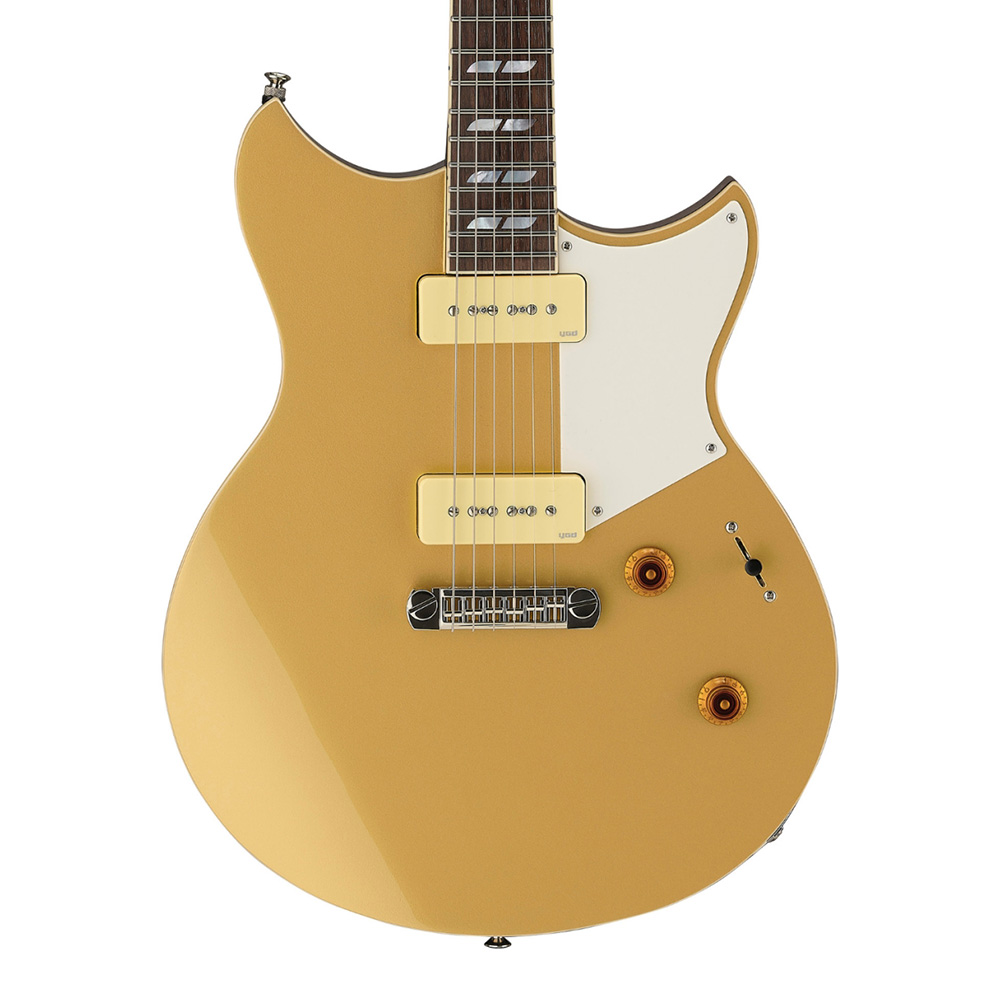 YAMAHA <br>REVSTAR RS02CB [Chris Buck Signature Model]