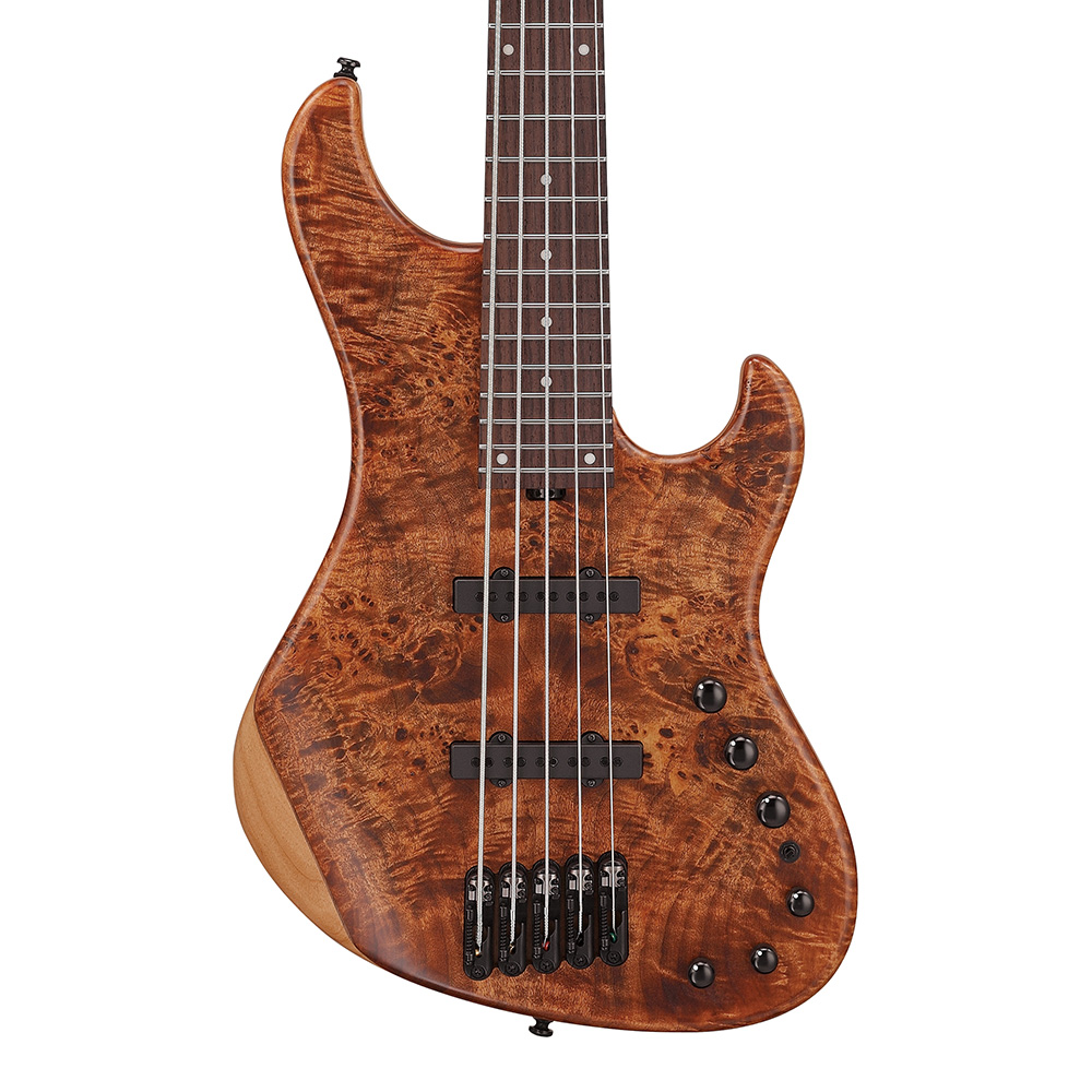 Ibanez <br>Mode MDM1605-NML (Natural Mocha Low Gloss)