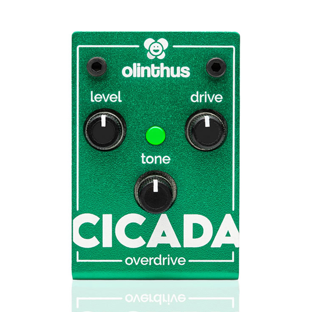 Olinthus <br>CICADA