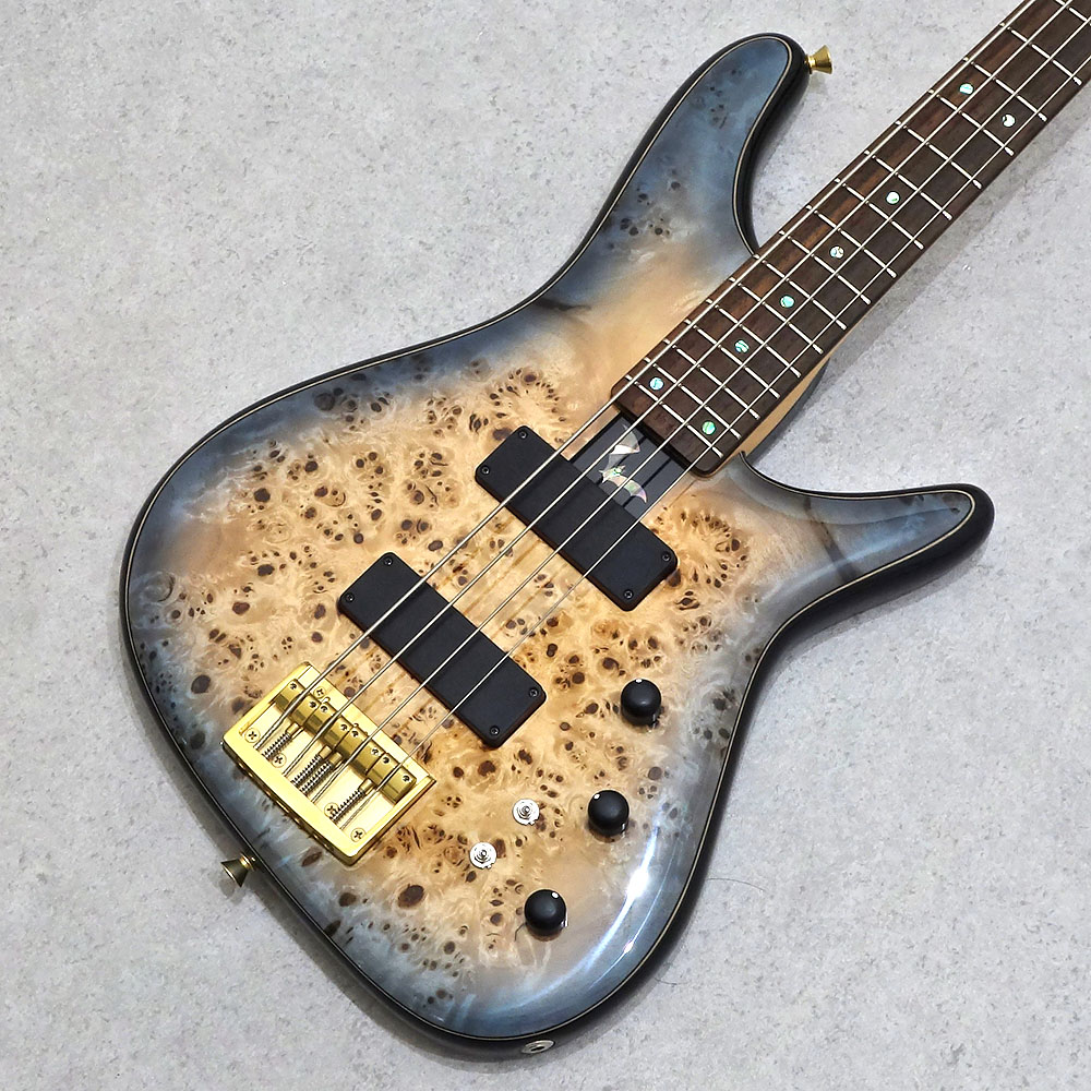 Sugi <br>NB4IR POP/F-MAHO HH BLMB