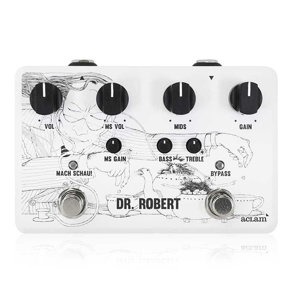 Aclam Guitars <br>Dr. Robert V3