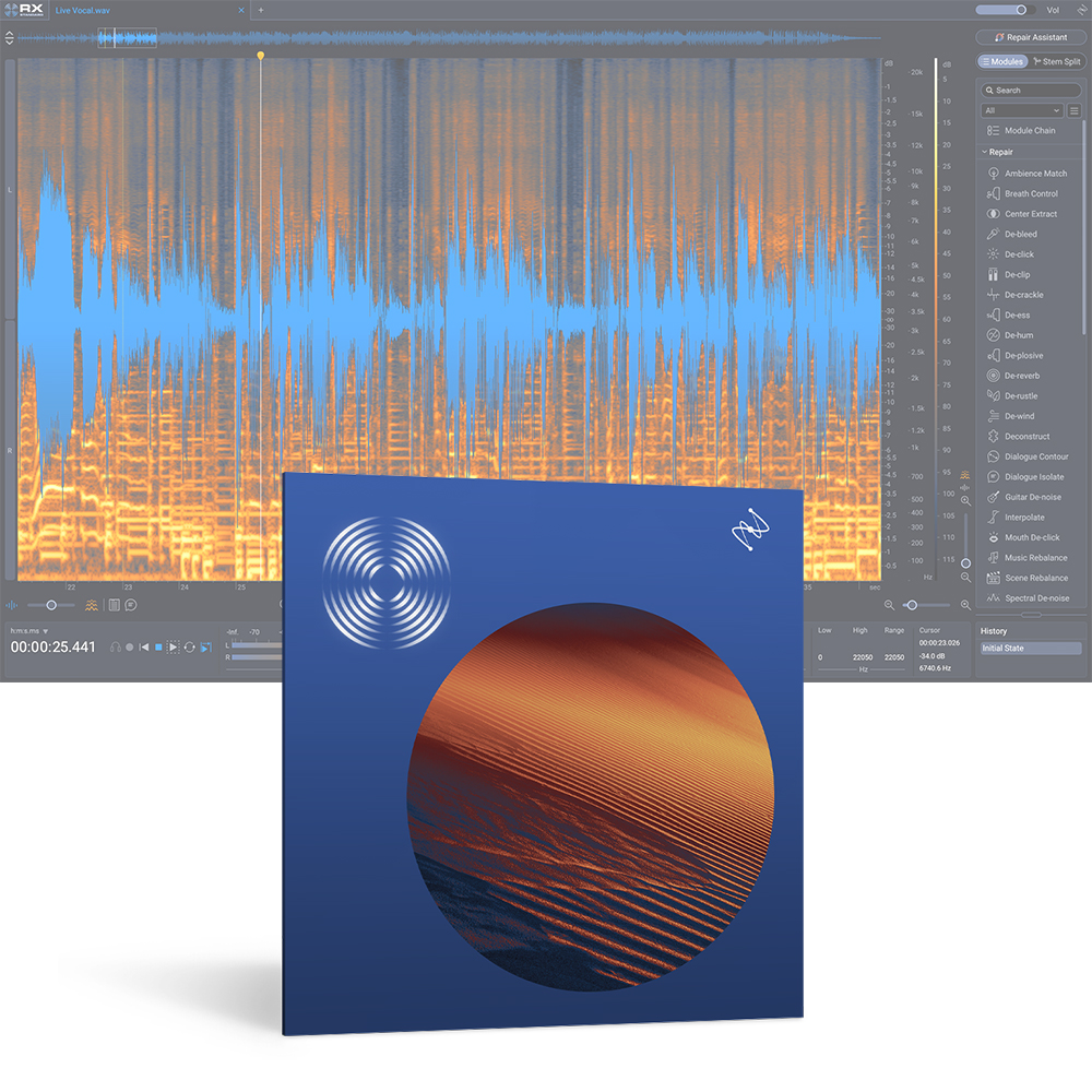 iZotope <br>RX 12 Standard