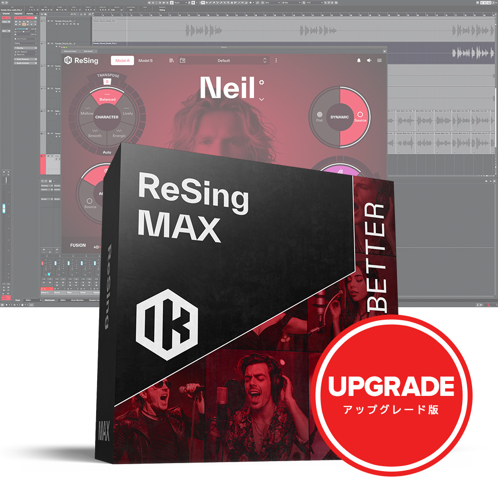 IK Multimedia <br>ReSing MAX Upgrade