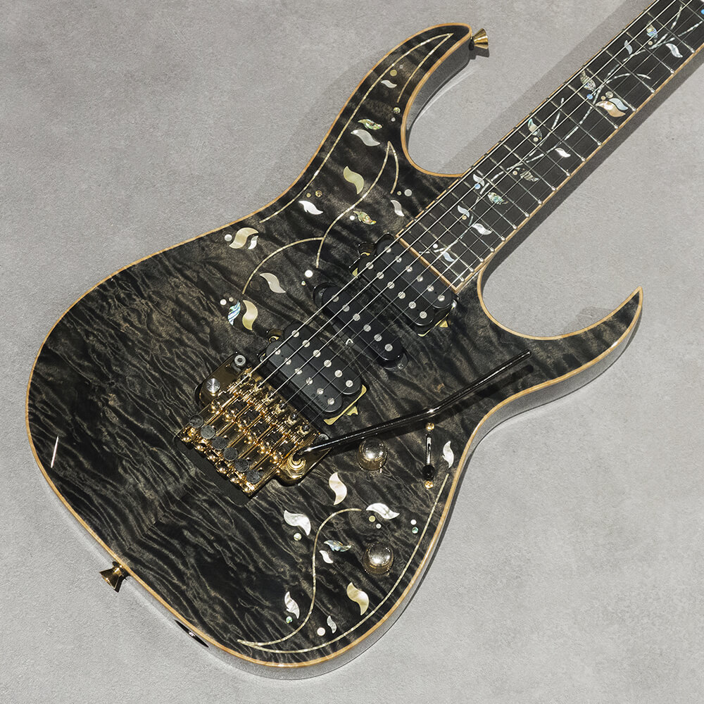 Ibanez <br>RG9670Z DMN