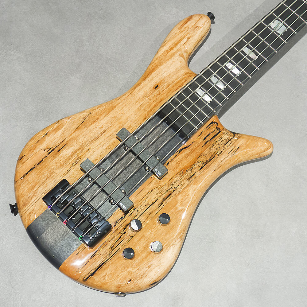 Spector <br>EURO 5 CST SPALTED MAPLE LE NA
