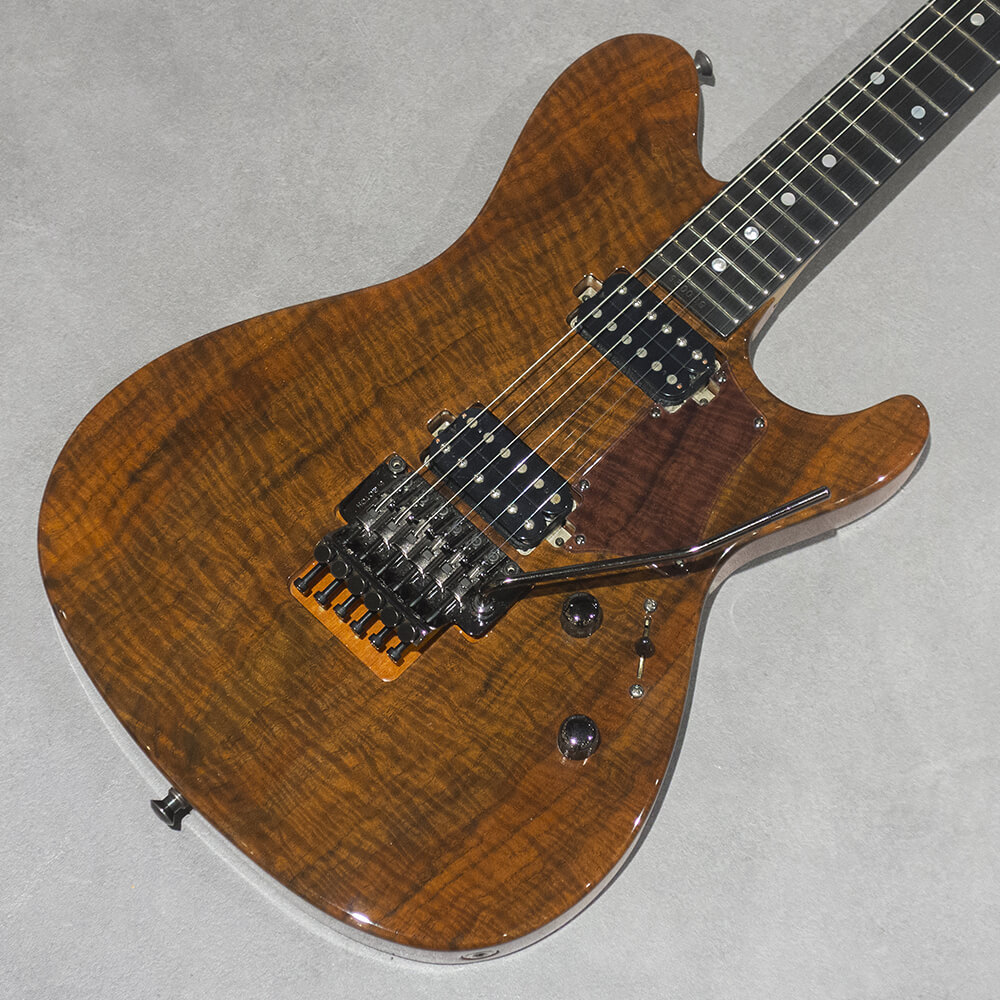 Sugi <br>DS496E CW/TT 