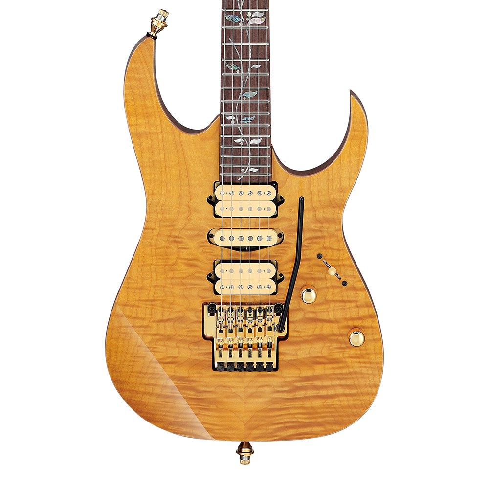 Ibanez <br>RG j.custom RG8570EM-NT (Natural)