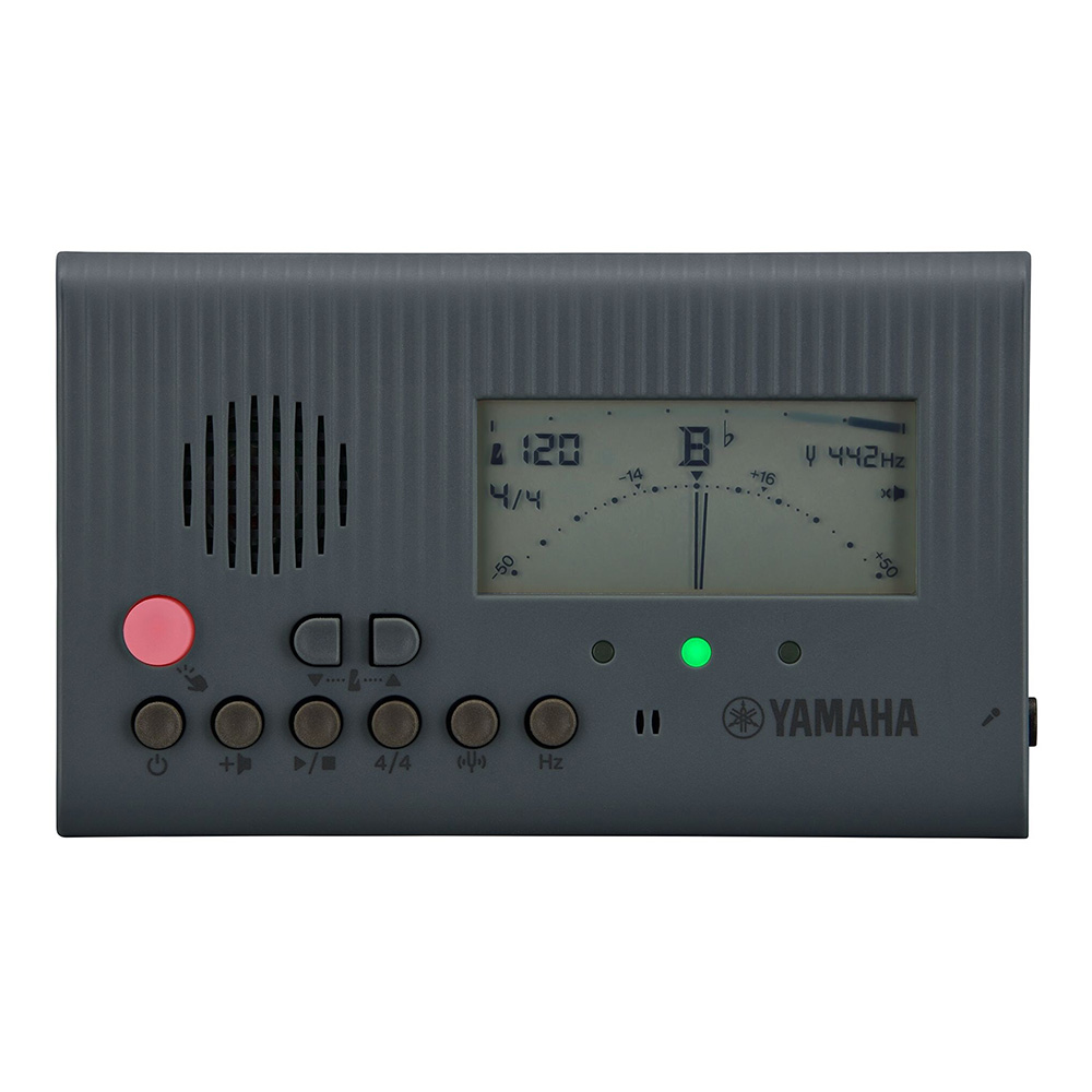 YAMAHA <br>TDM-600GY �O���[