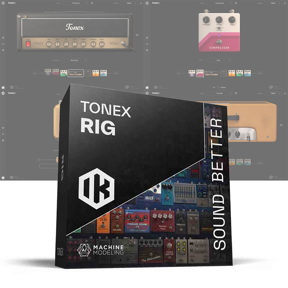 IK Multimedia <br>TONEX Rig