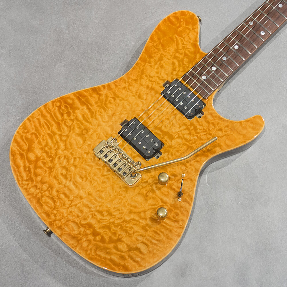 Sugi <br>DS496HC EM/TT