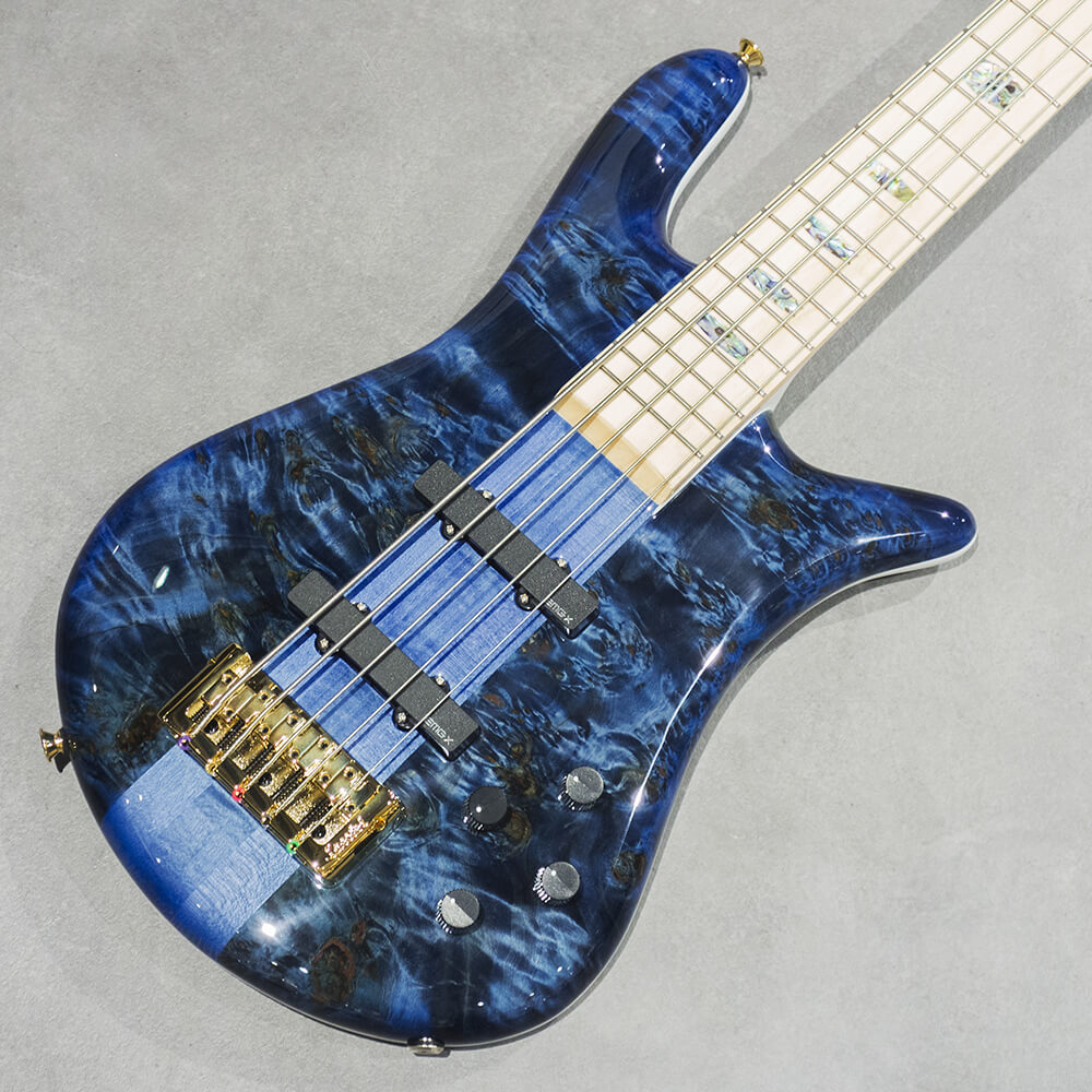 Spector <br>EURO 5 CST BK&BL/WH BackGloss