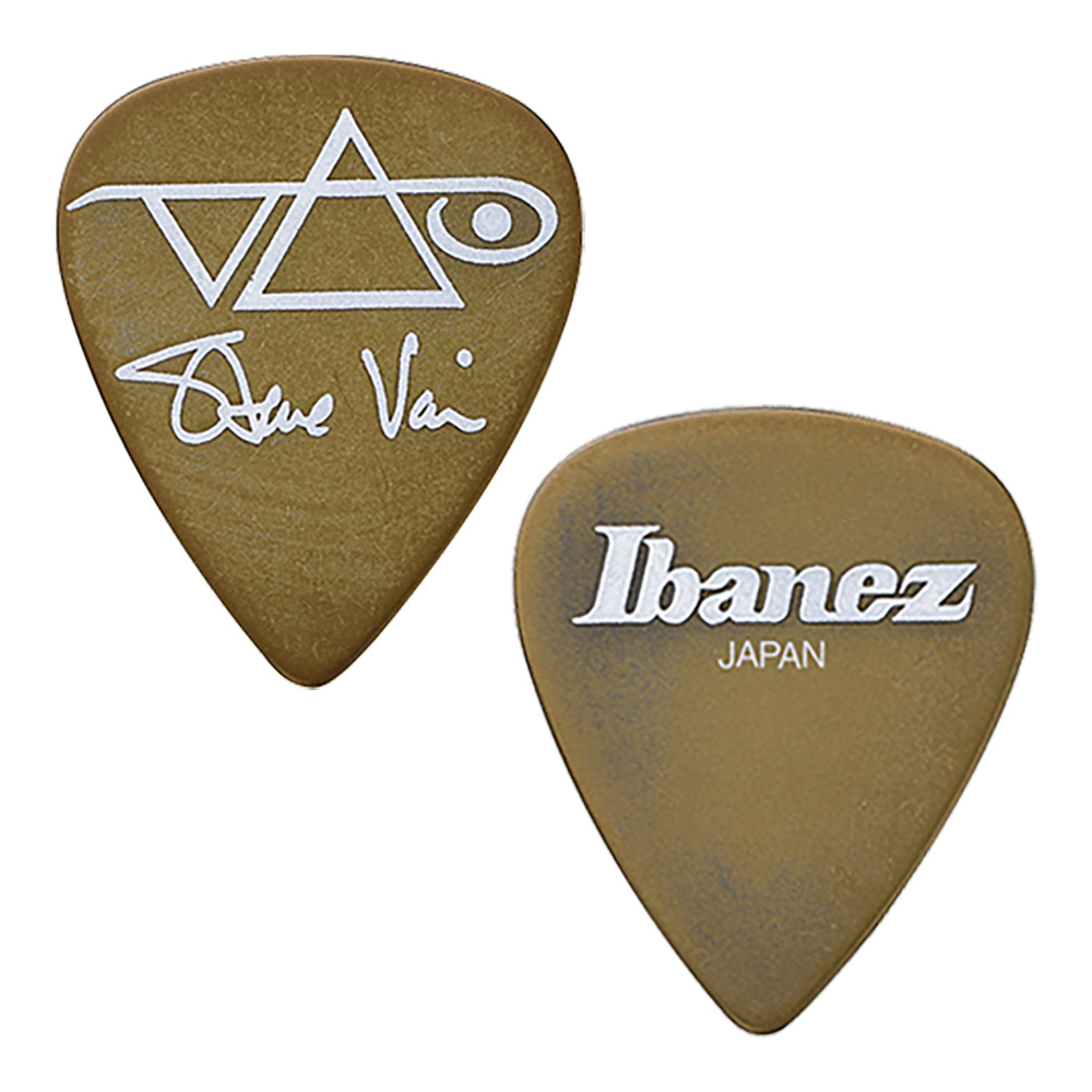 Ibanez <br>1000SV-BR (Brown) [Steve Vai Signature Model] 50���Z�b�g