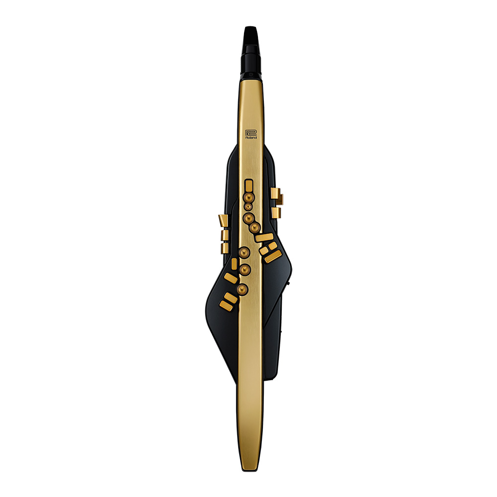Roland <br>Aerophone Pro Gold Limited Edition [AE-30A]