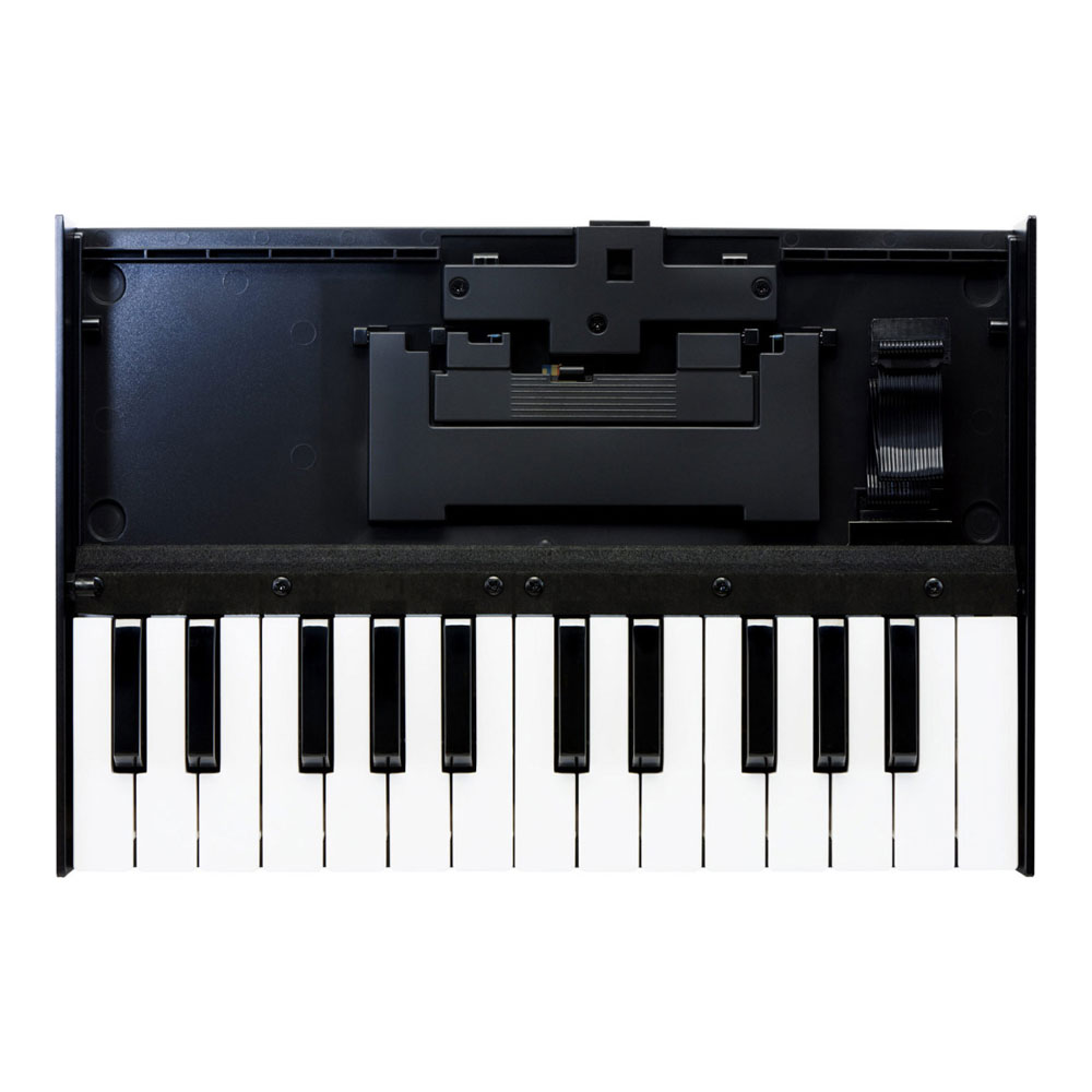 Roland <br>K-25M