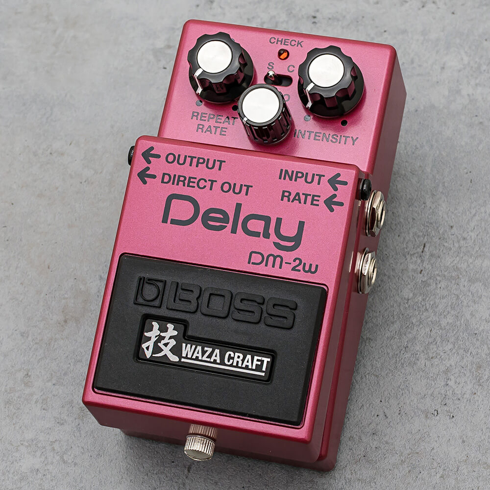 BOSS <br>DM-2W Delay