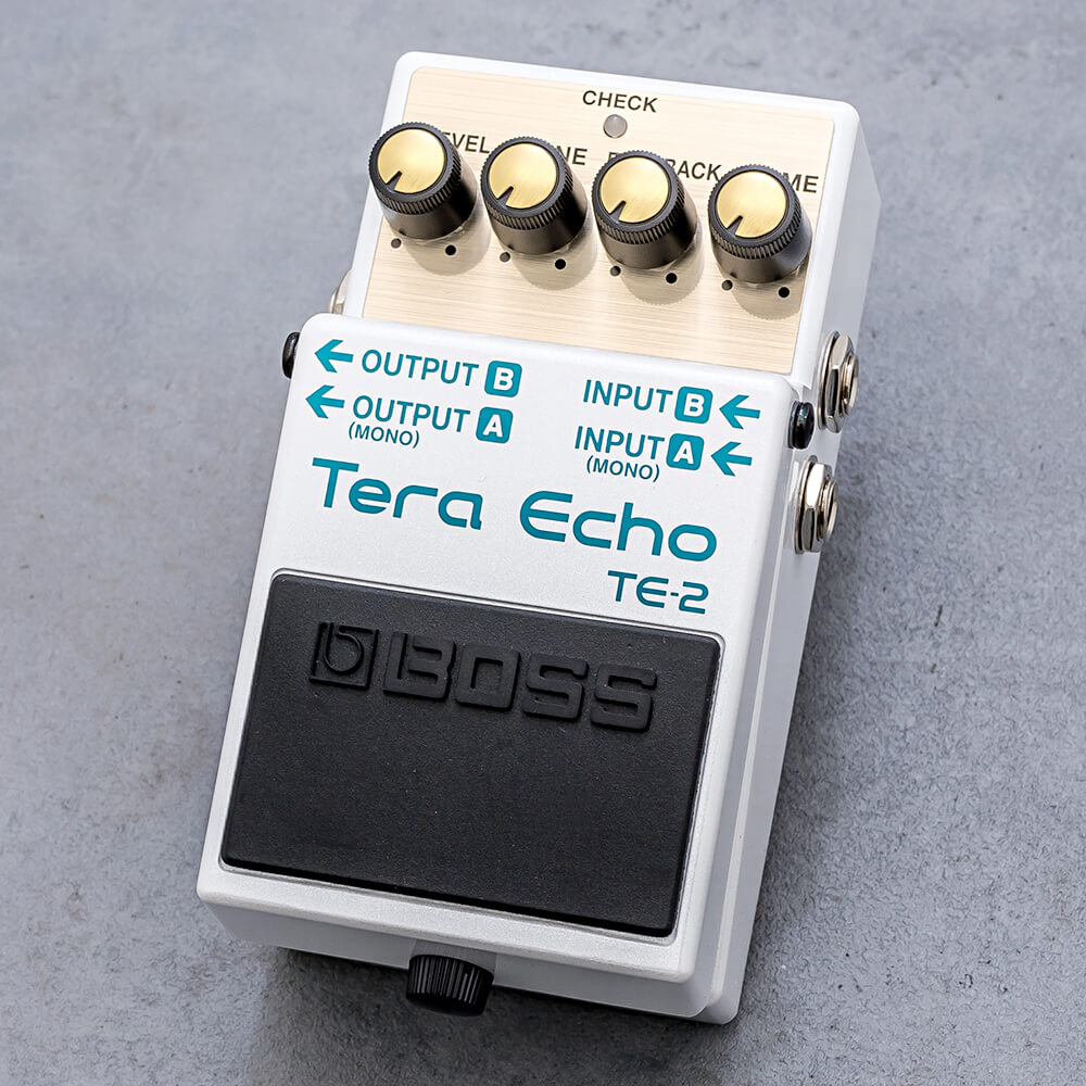 BOSS <br>TE-2 Tera Echo