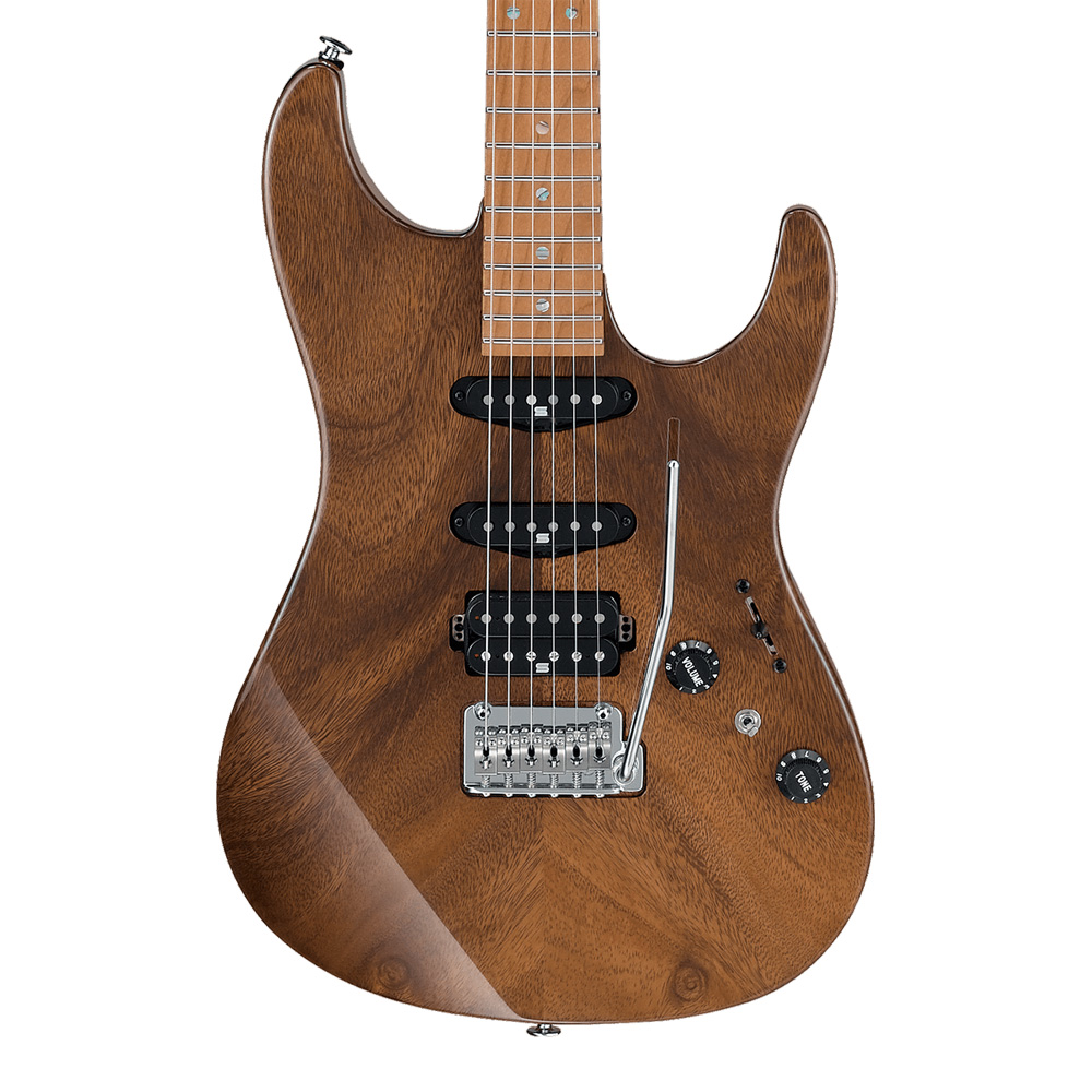 Ibanez <br>SIGNATURE MODEL Tom Quayle TQM1-NT (Natural)