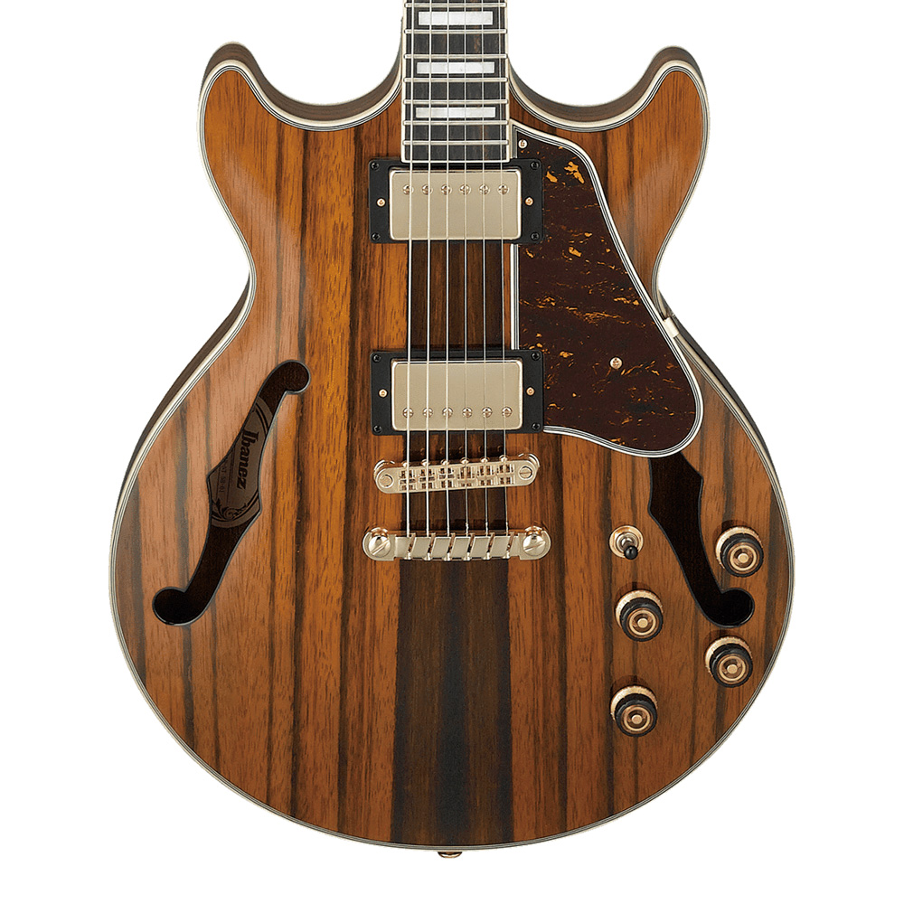 Ibanez AM Artcore Expressionist AM93ME-NT (Natural)