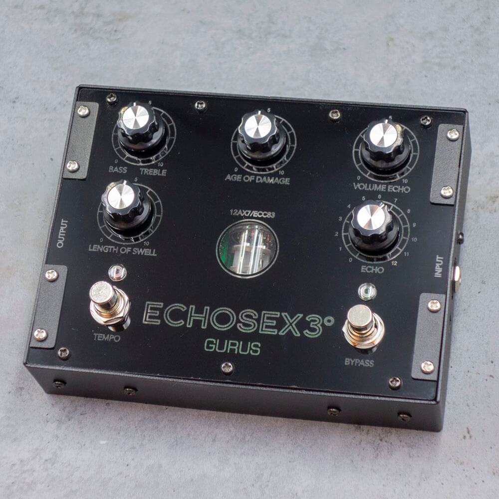 Gurus Amp <br>Echosex 3