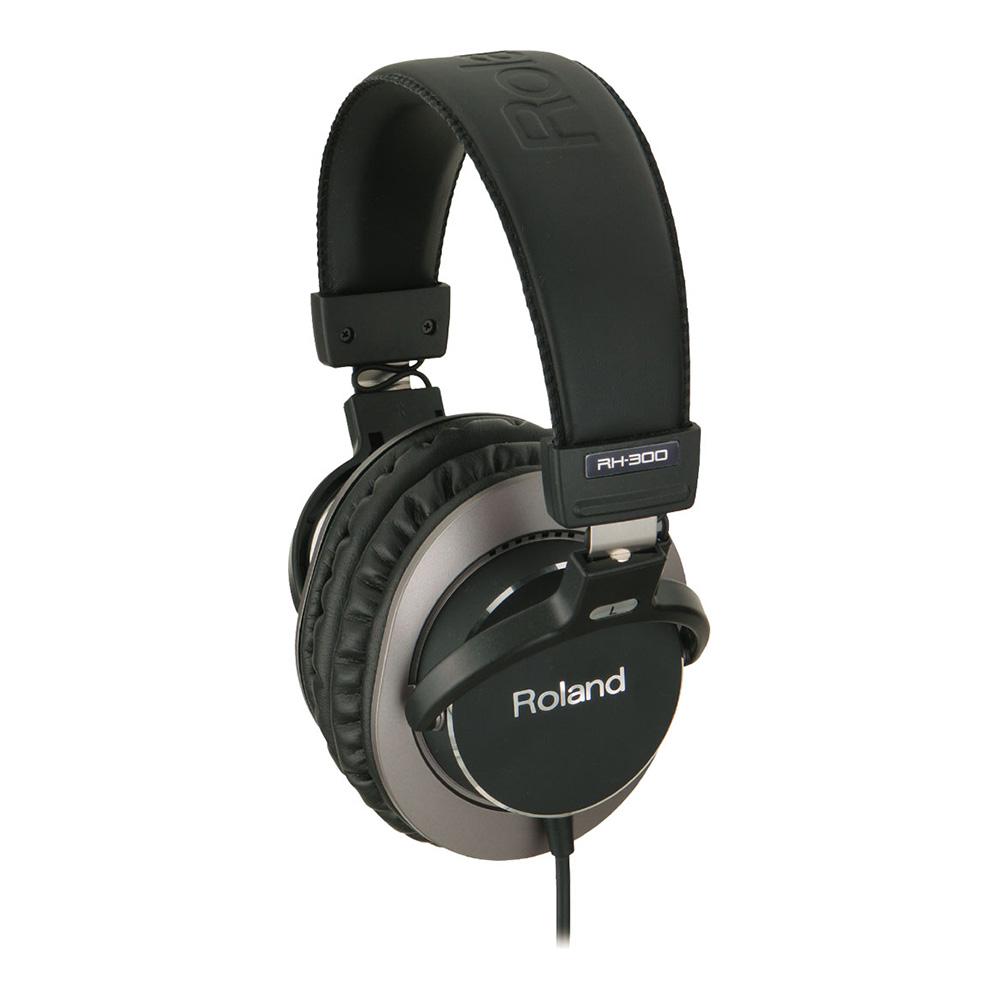 Roland <br>RH-300 Stereo Headphones