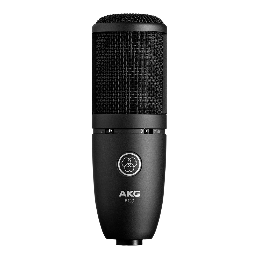 AKG <br>P120