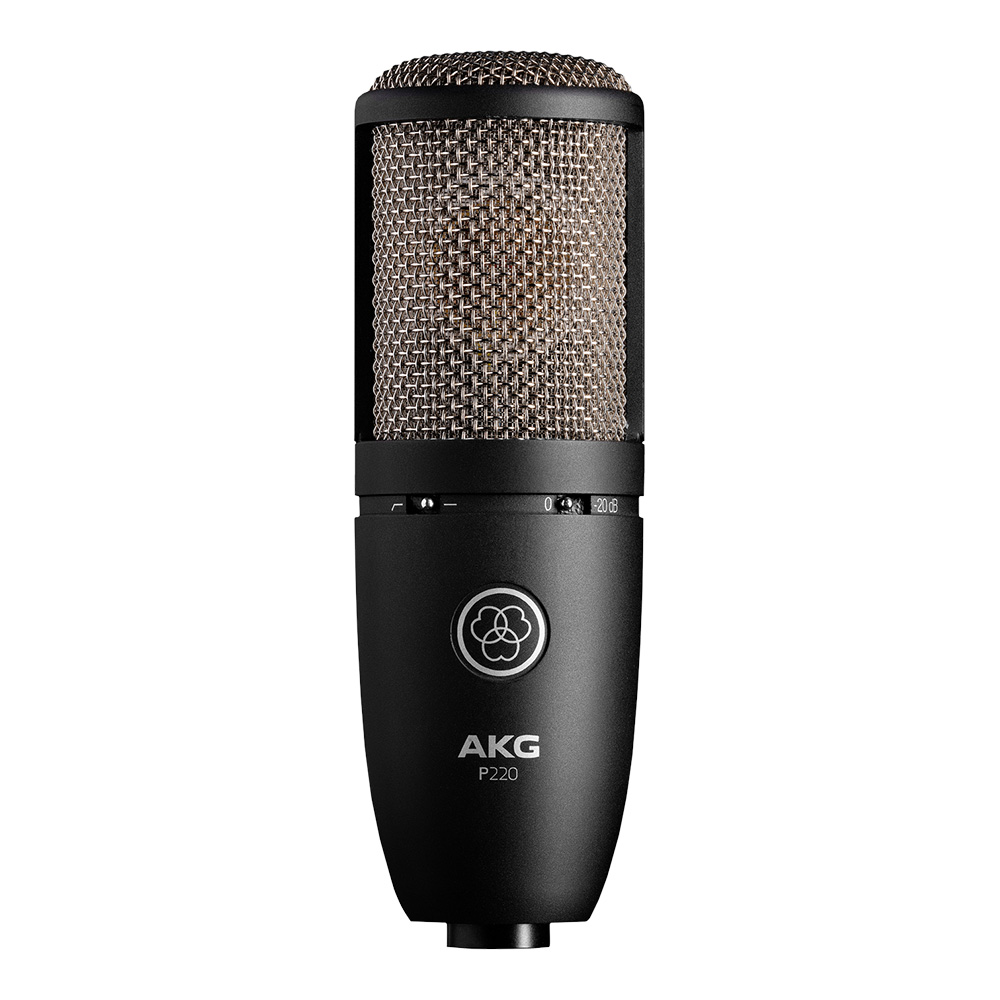 AKG <br>P220