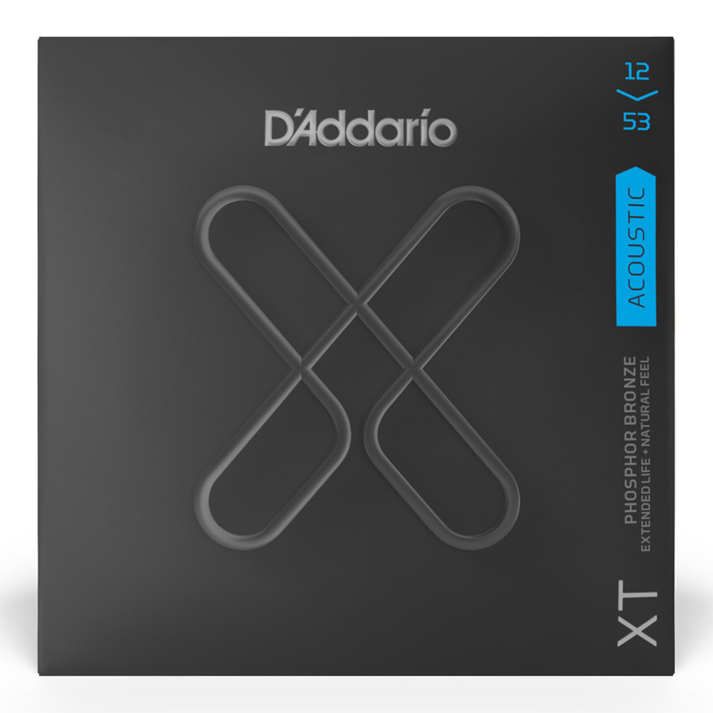 D'Addario <br>XTAPB1253 [XT Phosphor Bronze, Regular Light 12-53]