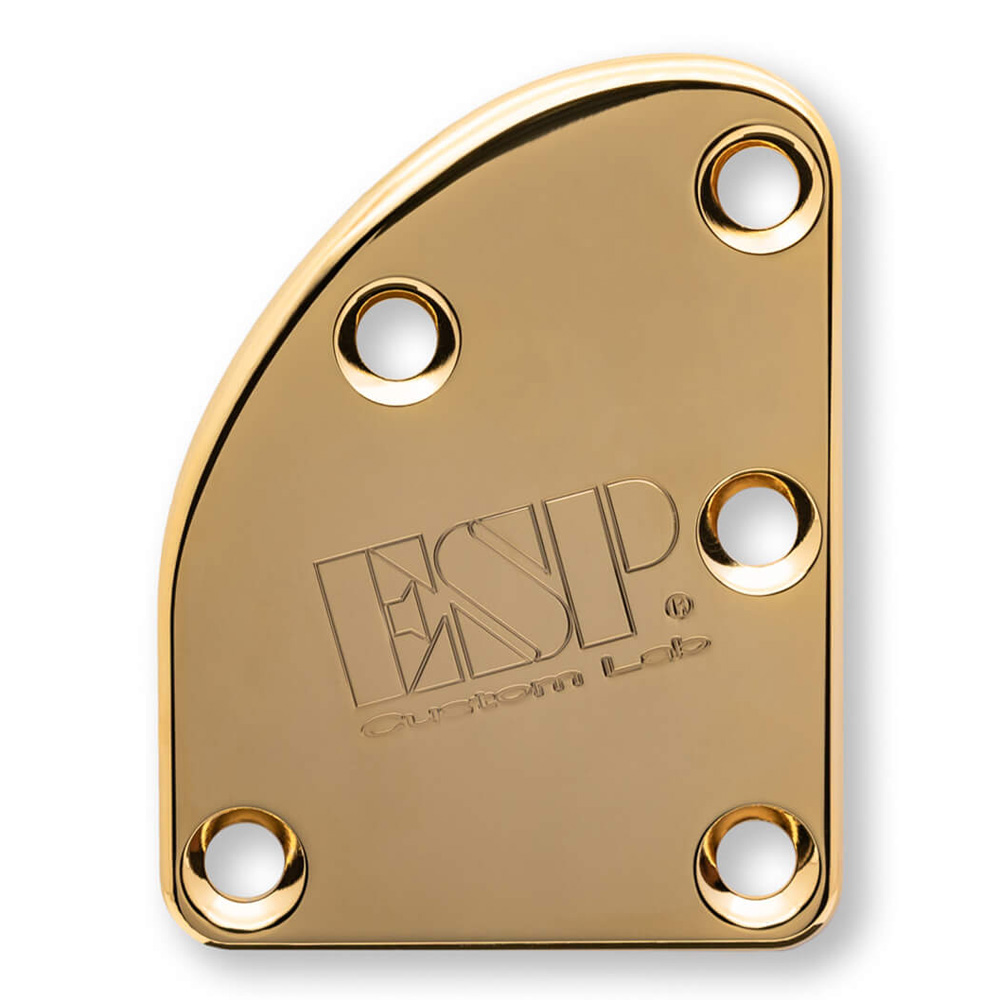 ESP <br>T-5 NECK SET PLATE BRASS NORMAL Gold