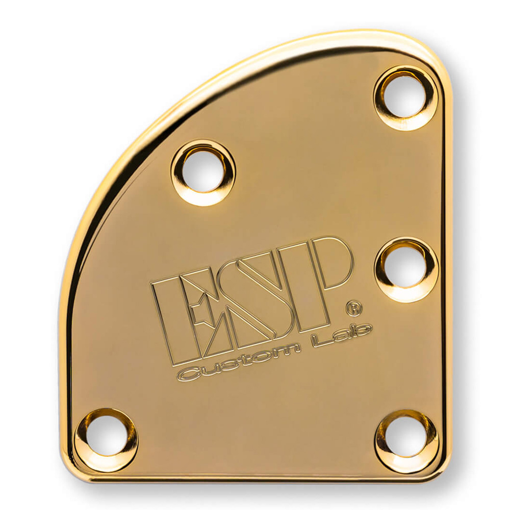 ESP <br>T-5 NECK SET PLATE BRASS WIDE Gold