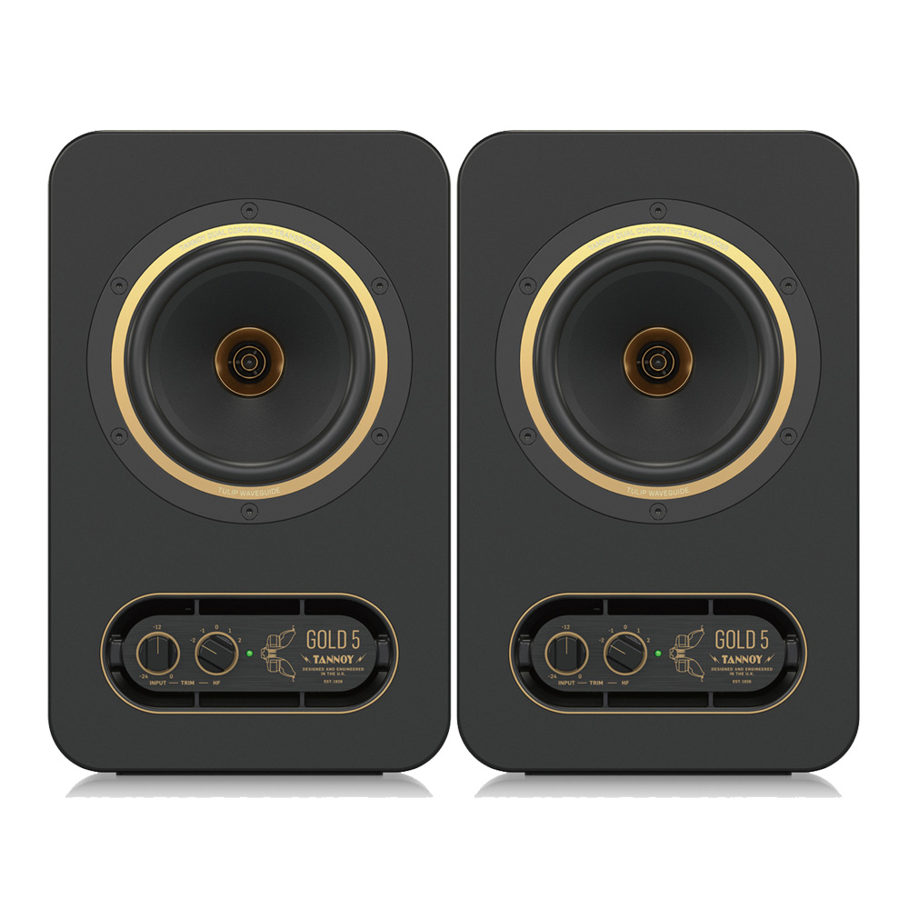 TANNOY <br>GOLD 5iyAj