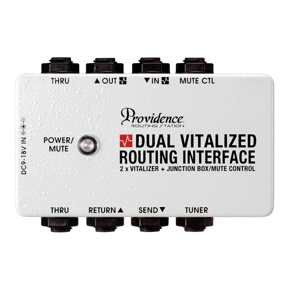 Providence <br>DUAL VITALIZED ROUTING INTERFACE DVI-1M