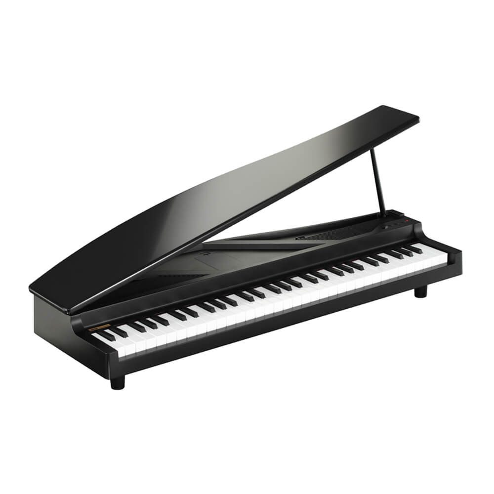 KORG <br>microPIANO BK (ubN)