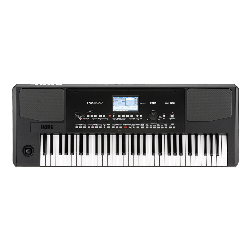 KORG <br>Pa300