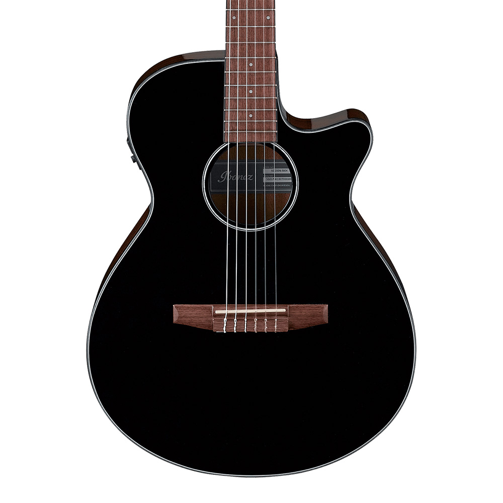 Ibanez <br>AEG50N-BKH (Black High Gloss)