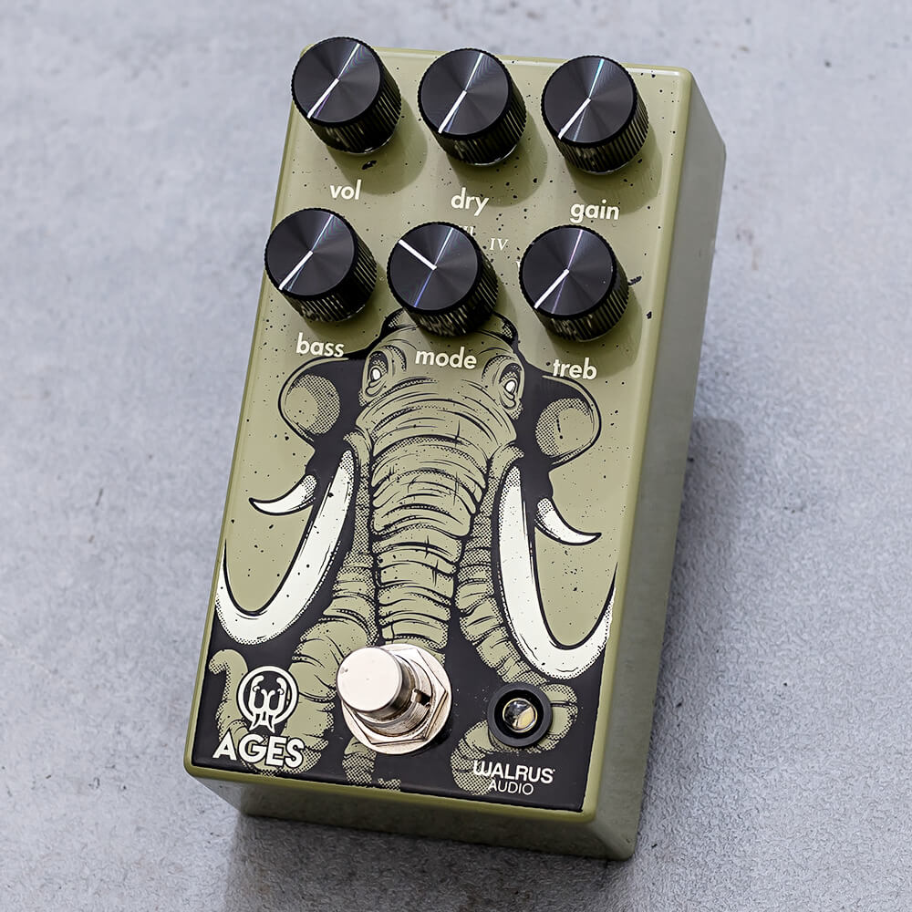 WALRUS AUDIO <br>AGES Five State Overdrive