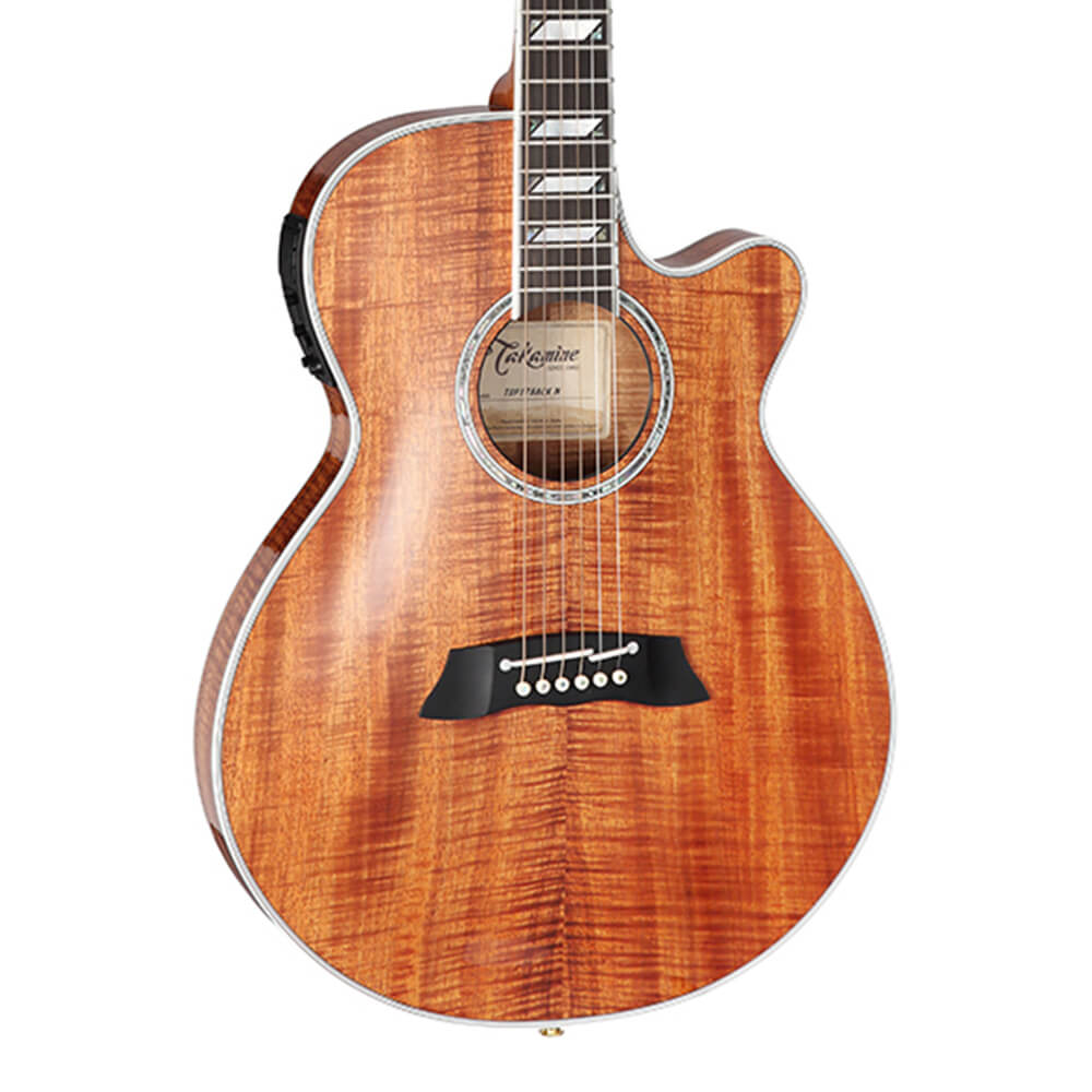 Takamine <br>TSP178ACK N