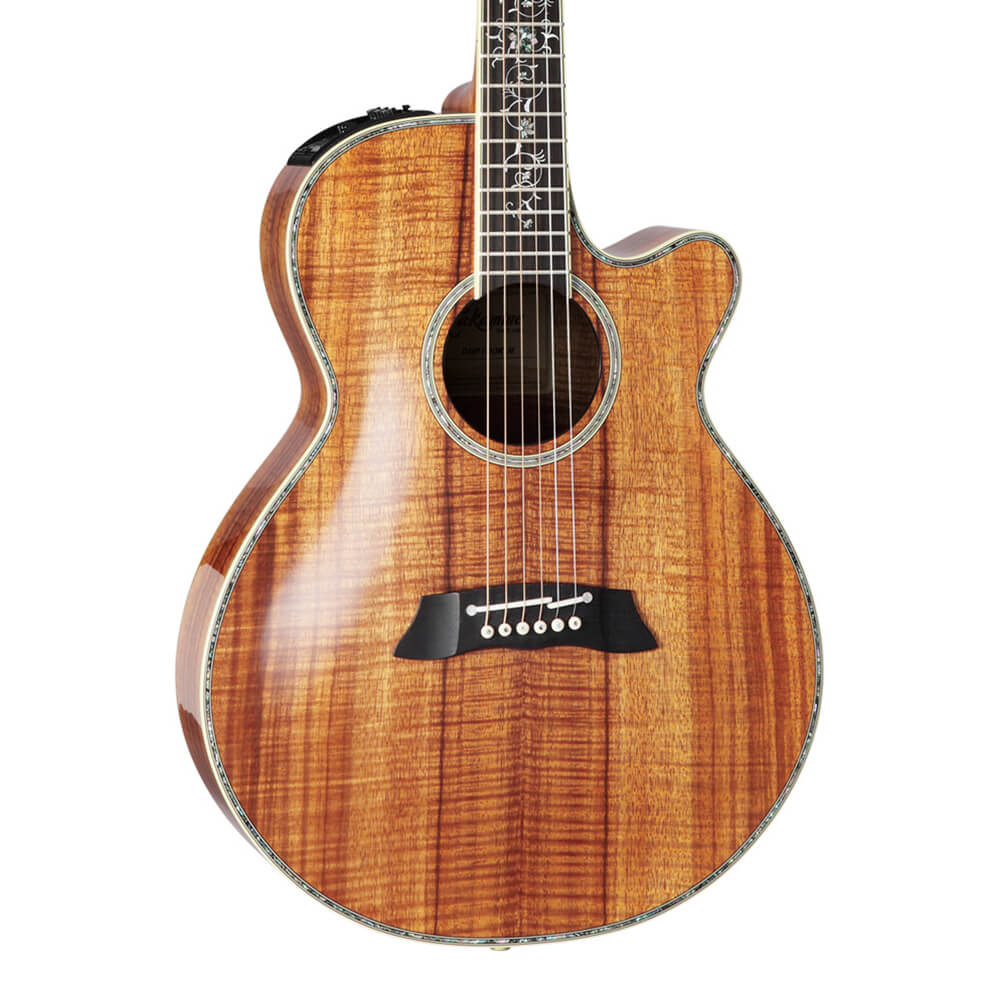 Takamine <br>DMP100K N